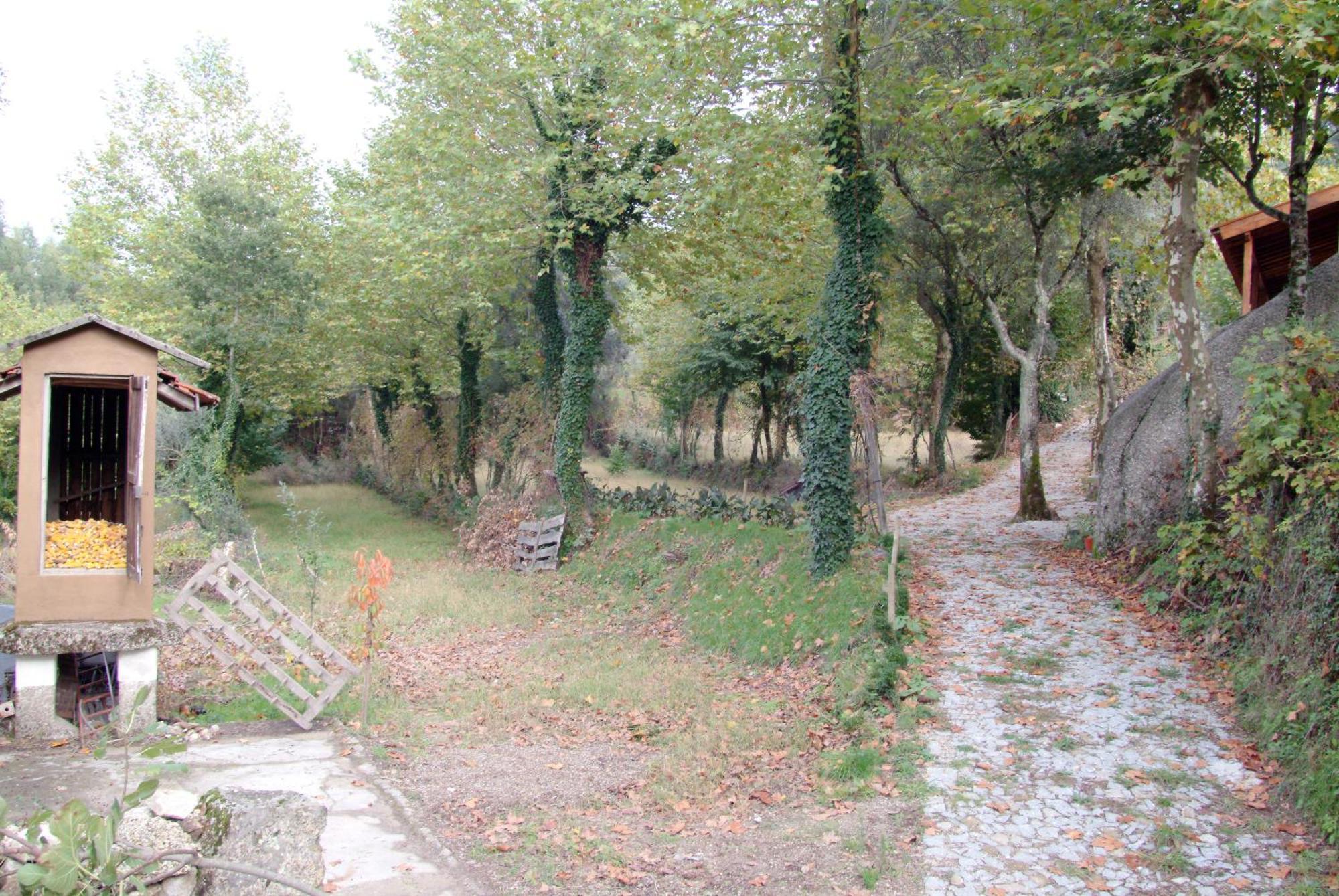 Quinta Da Veiga E Malhadoira Vendégház Vieira do Minho Kültér fotó