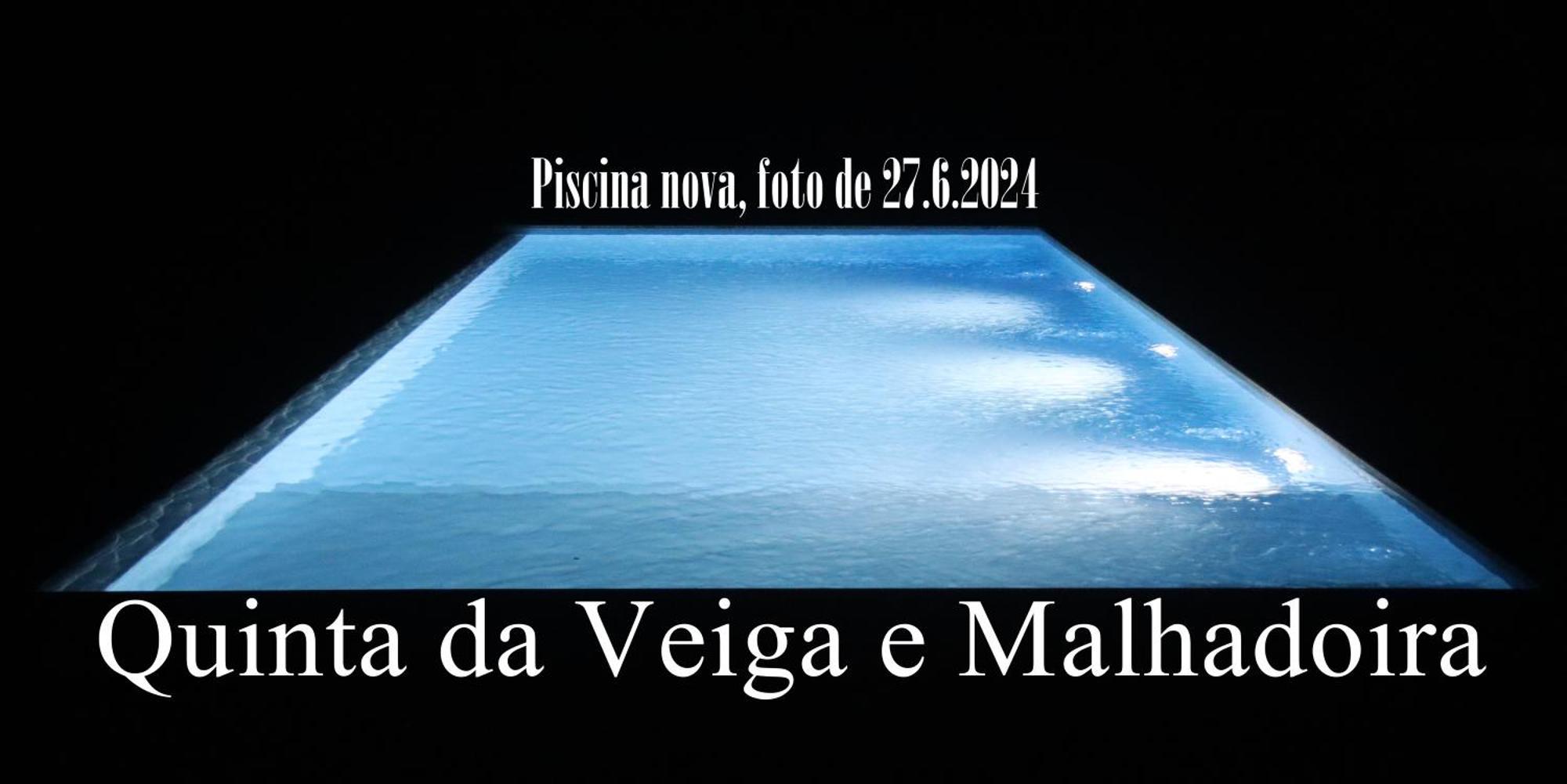 Quinta Da Veiga E Malhadoira Vendégház Vieira do Minho Kültér fotó
